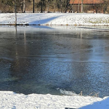 Haus Am Fischteich Lejlighed Feistritz ob Bleiburg Eksteriør billede