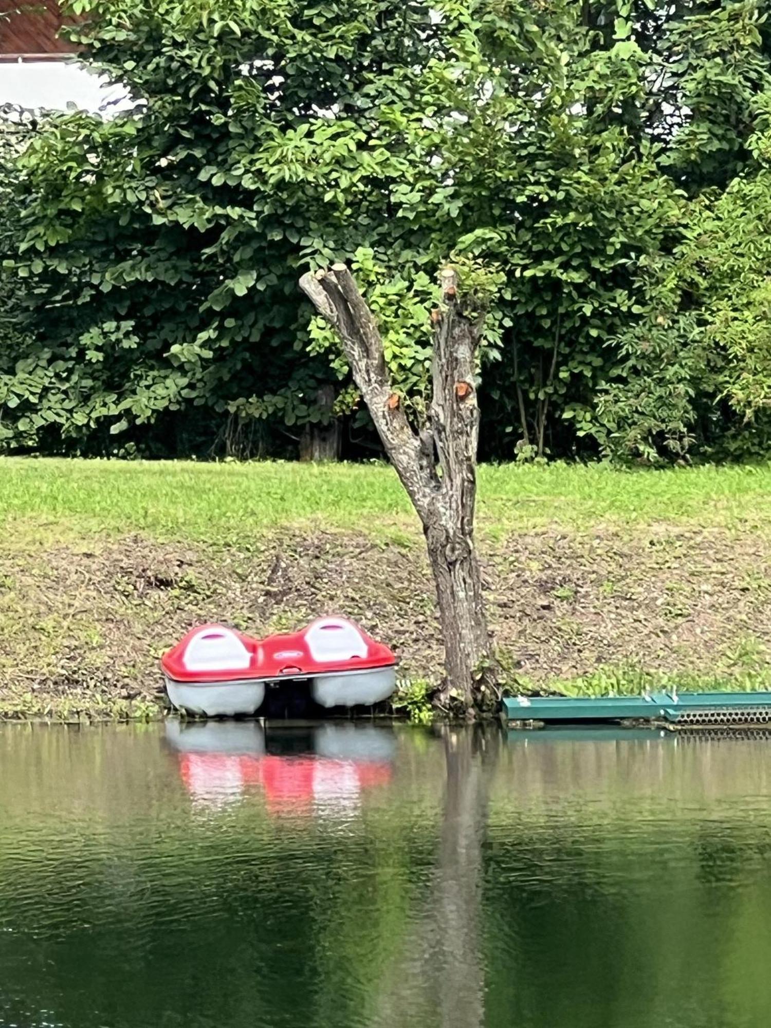 Haus Am Fischteich Lejlighed Feistritz ob Bleiburg Eksteriør billede
