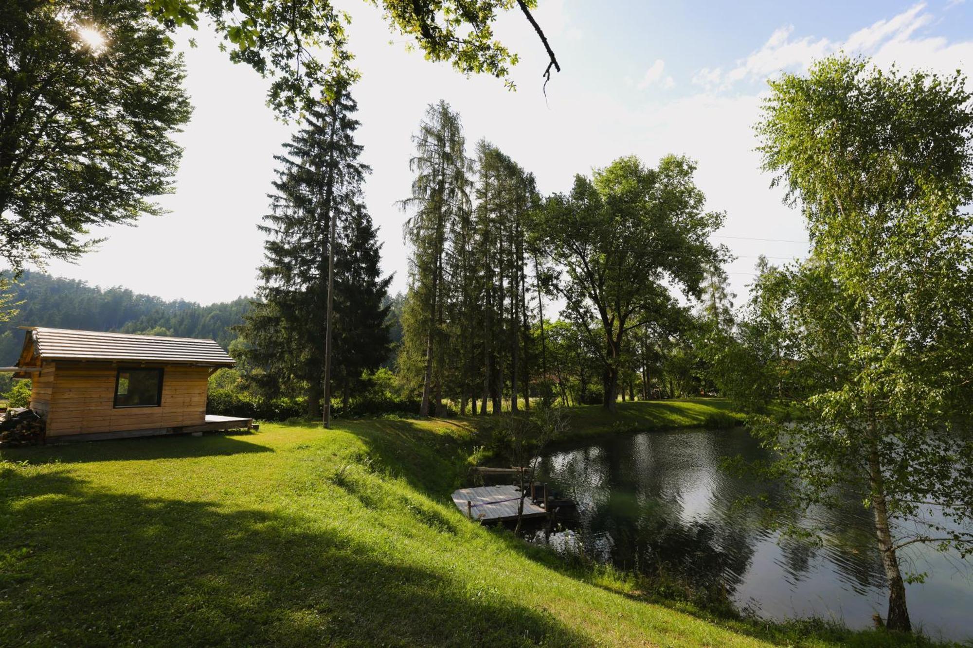 Haus Am Fischteich Lejlighed Feistritz ob Bleiburg Eksteriør billede