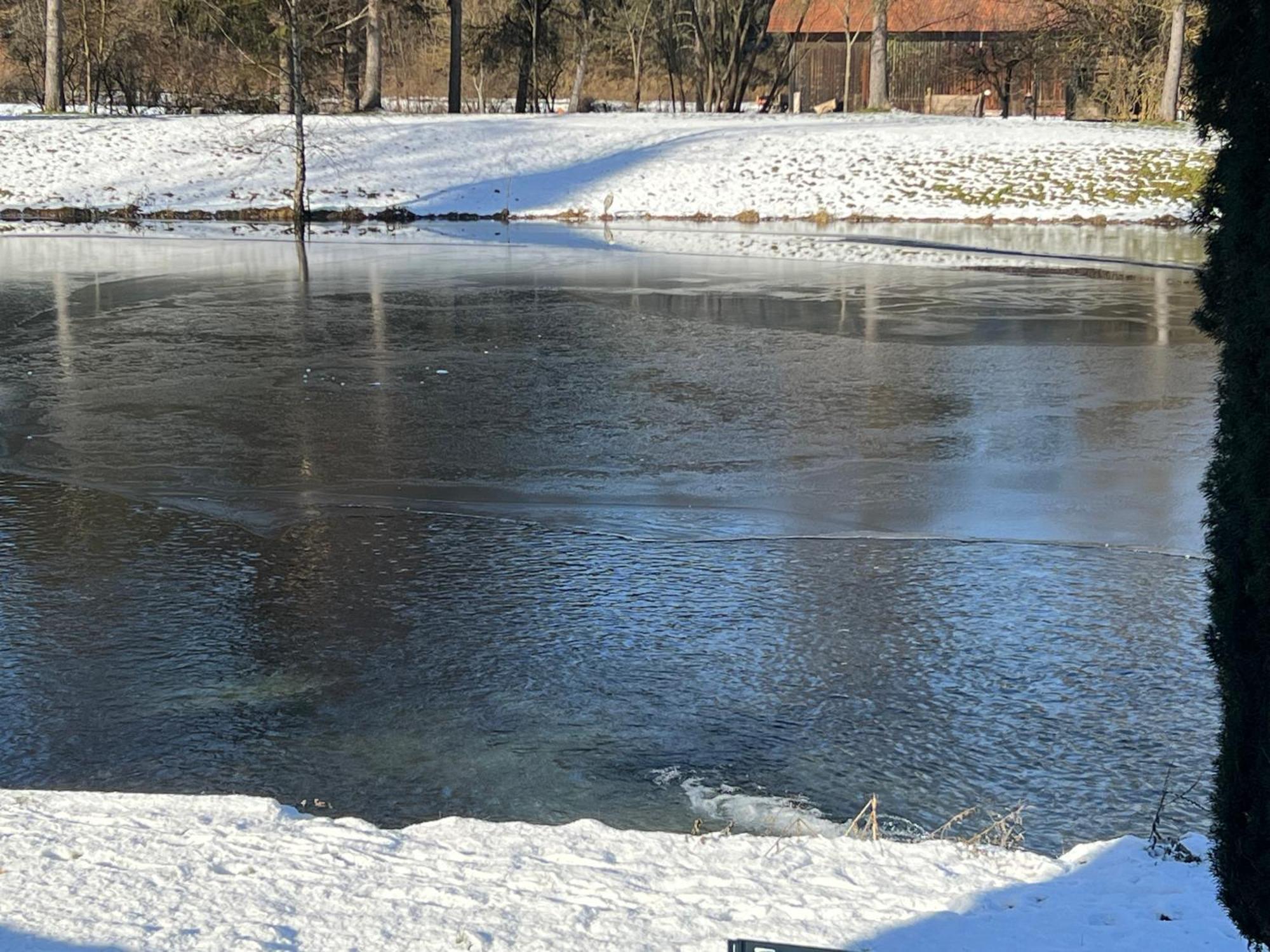 Haus Am Fischteich Lejlighed Feistritz ob Bleiburg Eksteriør billede